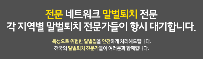 전문 네트워크 말벌퇴치 전문 독성으로 위험한 말벌집을 안전하게 처리해드립니다. 전국의 말벌퇴치 전문가들이 여러분과 함께합니다. 각 지역별 말벌퇴치 전문가들이 항시 대기합니다.